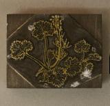 Click for more details.